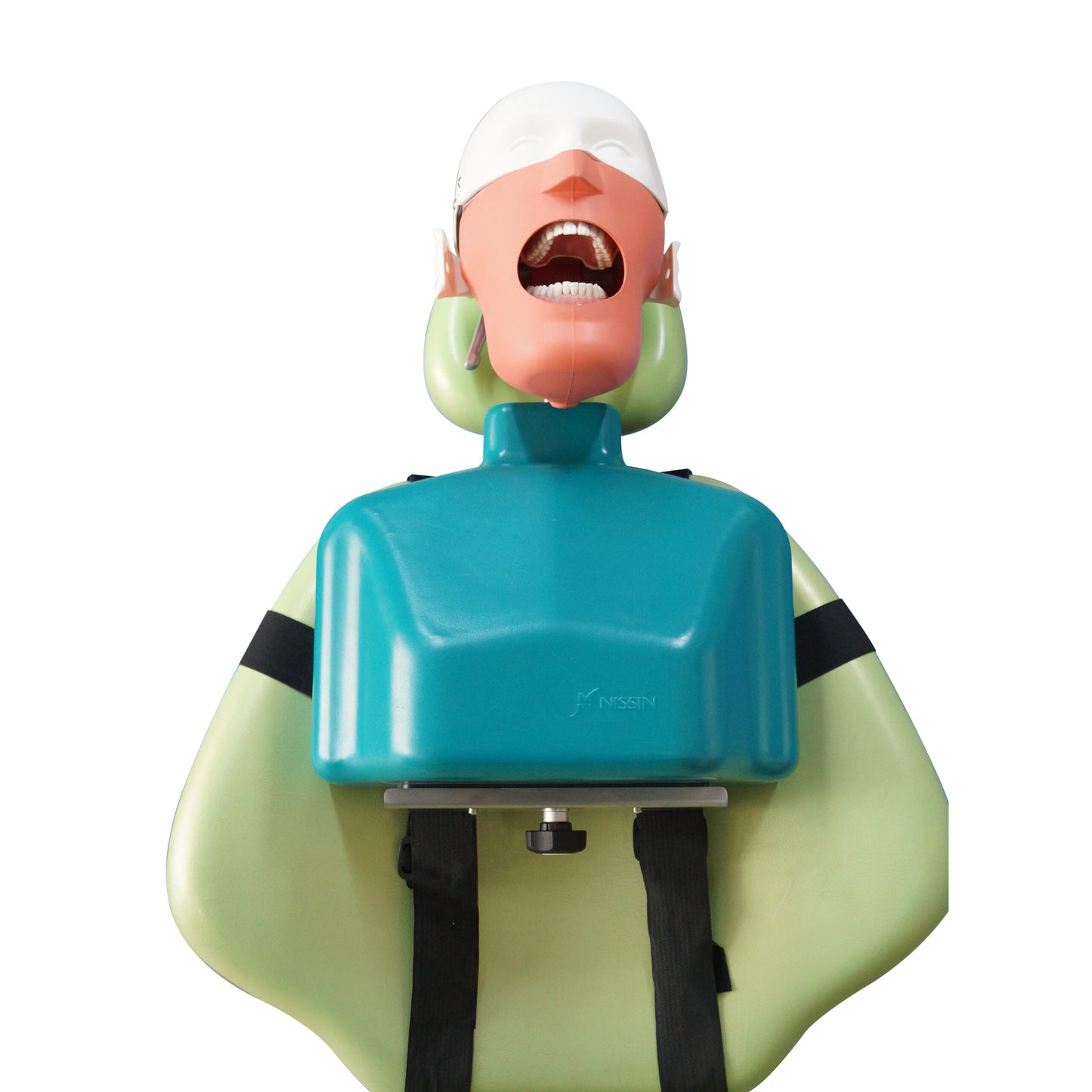 Dental Senior Phantom Head Manikin With Torso Dental Senior Manikin With Torso Teaching Dental Equipments
