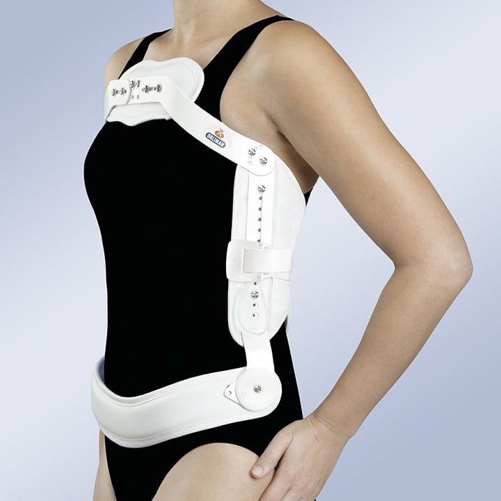 ARTICULATED JEWETT FRAME