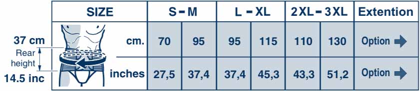 Air Back Brace Low profile with Back Panel 10"