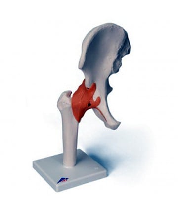 Sigvaris - Style - Microfiber Patterns