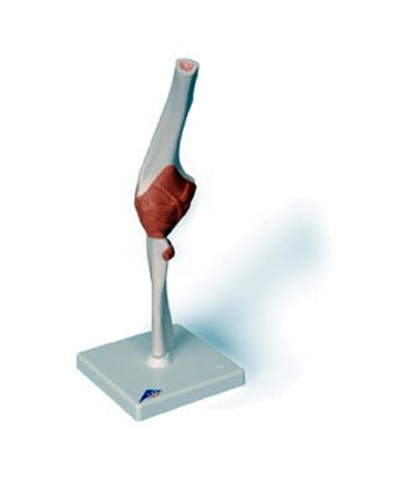 Sigvaris - Style - Microfiber Patterns