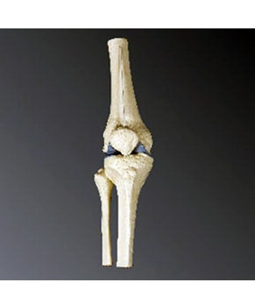 Sigvaris - Style - Microfiber Patterns