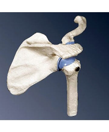 Sigvaris - Style - Microfiber Patterns