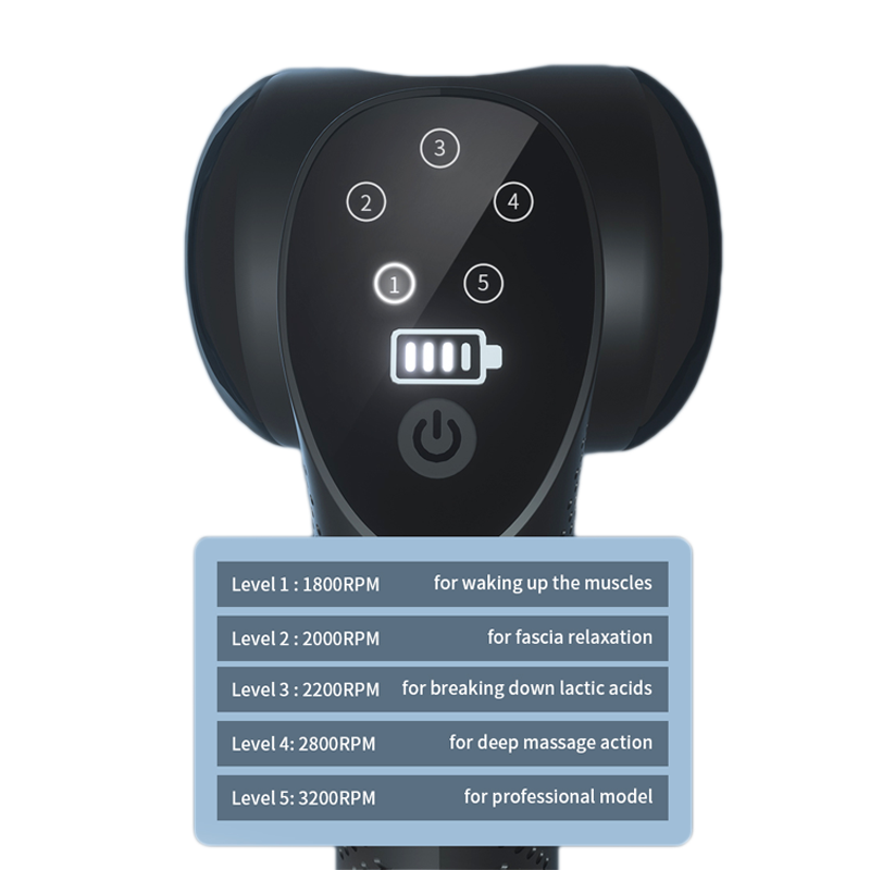 Wellmart Professional Massage Gun