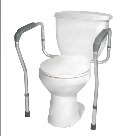 Toilet Safety Rails